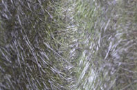 Morrey fibreglass roof work